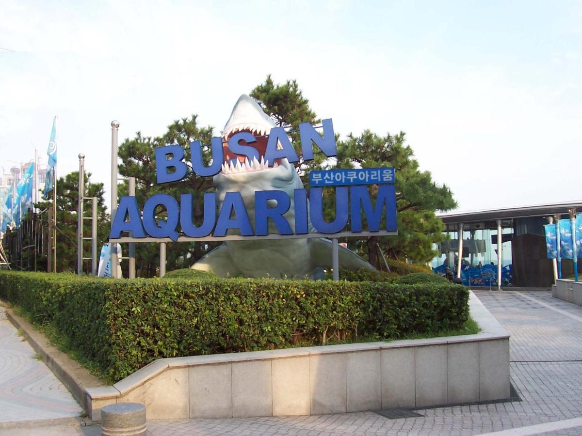 Haeundae Luxury House Apartamento Busan Exterior foto